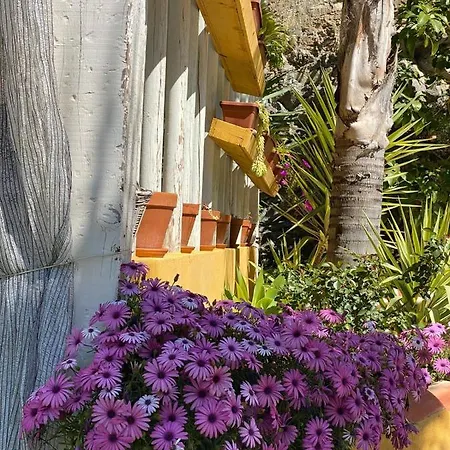 Eco Secret Getaway Lodge