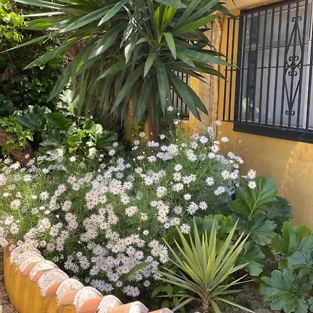 Eco Secret Getaway Monda
