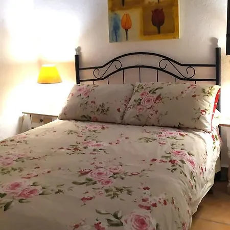 Lodge Eco Secret Getaway