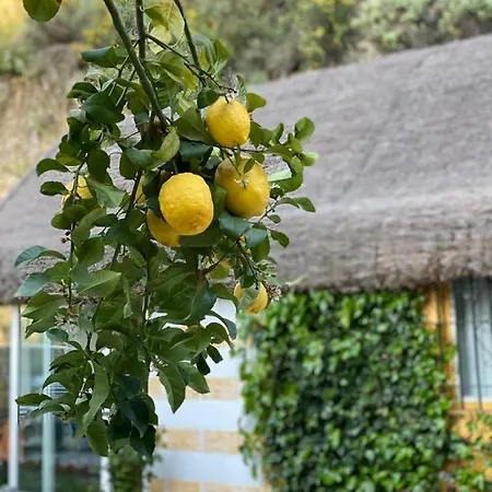 Eco Secret Getaway * Monda