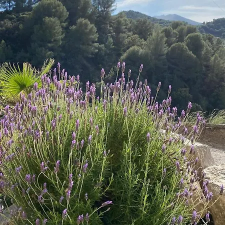 Lodge Eco Secret Getaway Monda